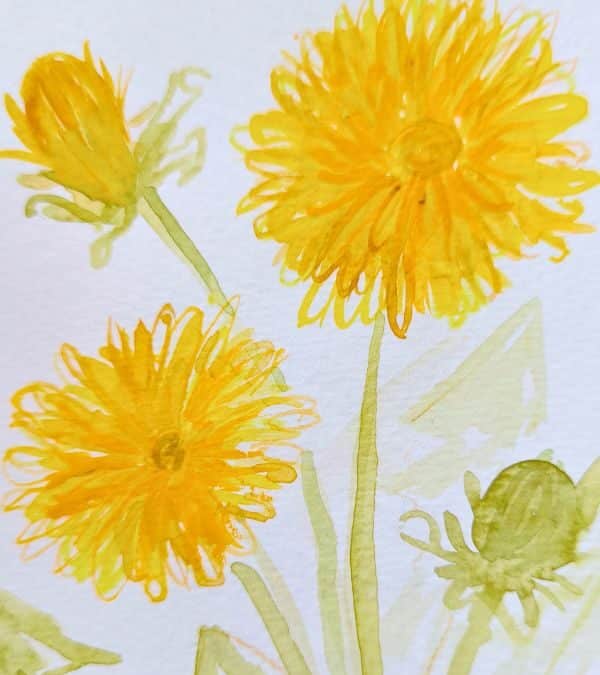 Löwenzahn Aquarell malen: Schritt-für-Schritt Anleitung im Art Journal