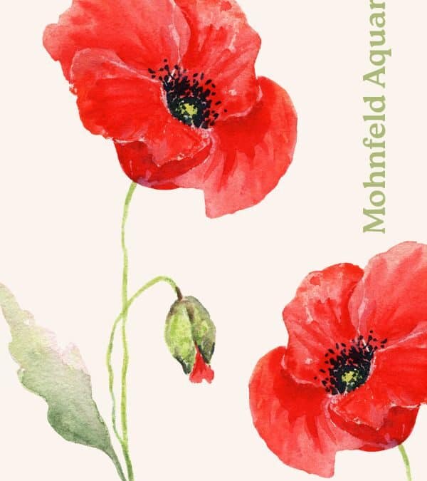 Mohnblumen Aquarell malen: Zwei Versionen – klassisch und expressiv im Vergleich
