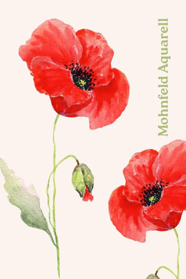 Mohnblumen Aquarell malen: Zwei Versionen – klassisch und expressiv im Vergleich